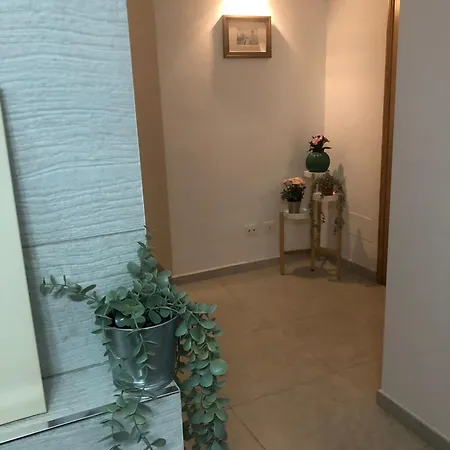 Conte Mami Palo del Colle